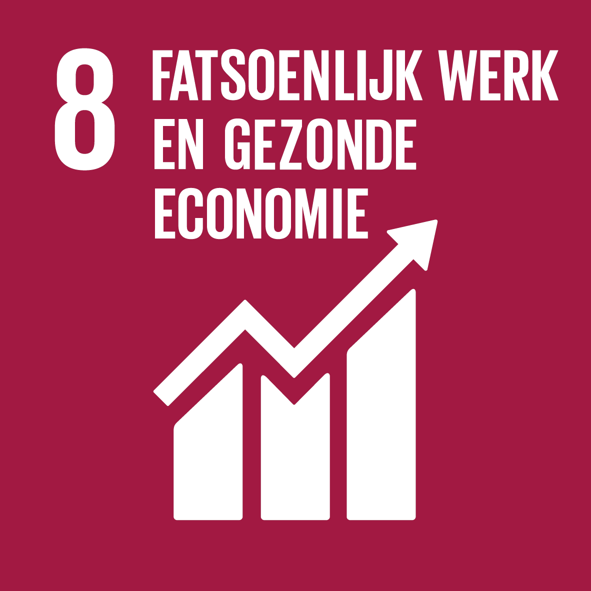 08. Fatsoenlijk werk en gezonde economie